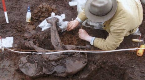 Thumbnail for the post titled: The Cashel Bog Body, A Bronze Age King of Laois